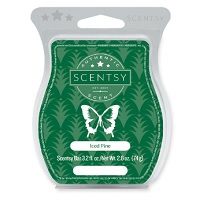 Lime and Sugarcane Scentsy Bar