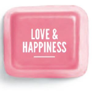 Love and Happiness Scentsy Bar