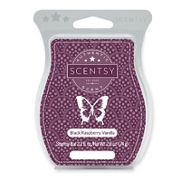 Lucky in Love Scentsy Romance Bar