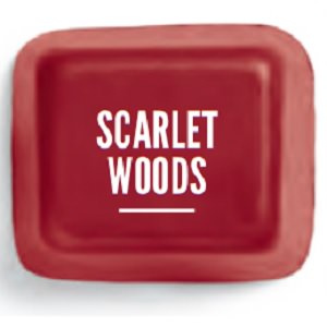 Scarlet Woods Scentsy Bar