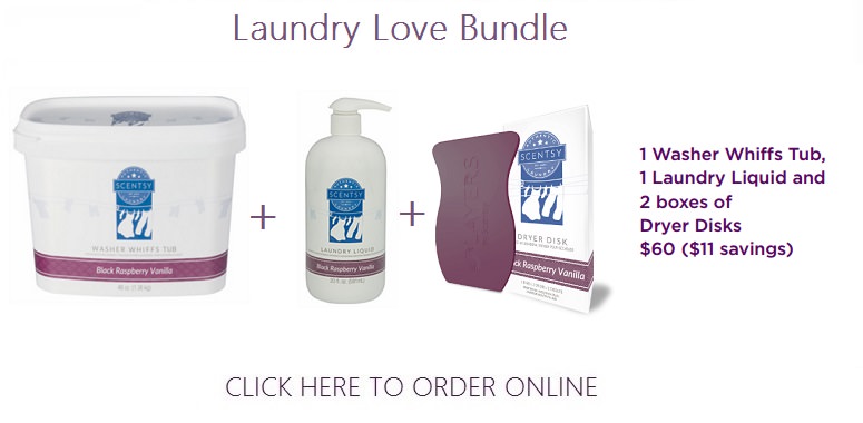 Combine and Save - Laundry Love Bundle