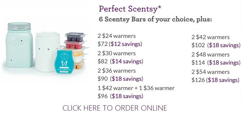 Combine and Save - Perfect Scentsy System