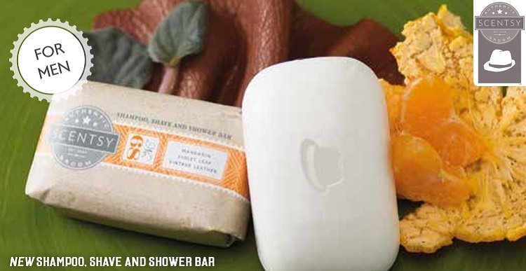 Shampoo, Shave and Shower Soap Bar - Scentsy Man