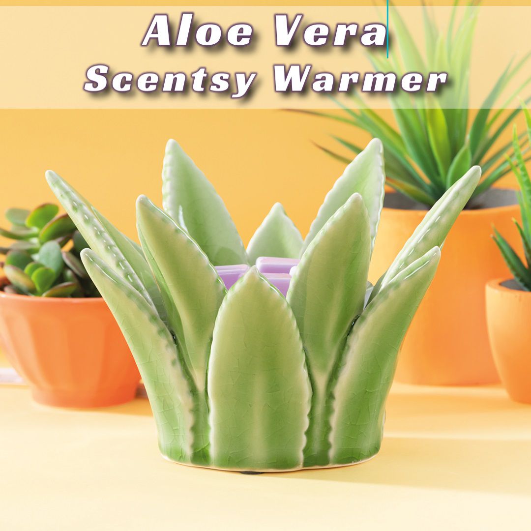 Aloe Vera Scentsy Warmer