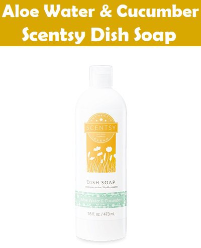 Aloe Water and Cucumber Scentsy Dish Soap