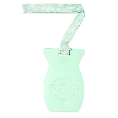 Aloe Water and Cucumber Scentsy Car Bar