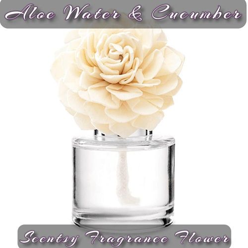 Aloe Water and Cucumber Scentsy Fragrance Flower