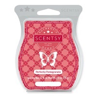 Aloha Citrus Scentsy Bar