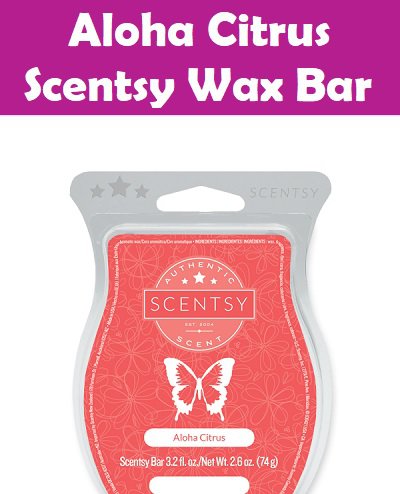 Aloha Citrus Scentsy Bar
