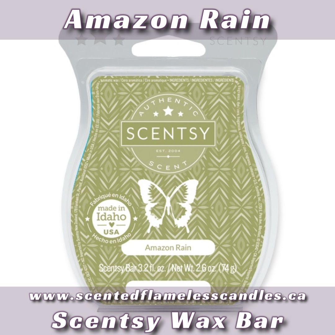 Amazon Rain Scentsy Bar