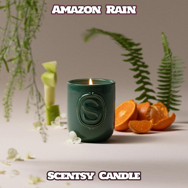 Amazon Rain Scentsy Candle