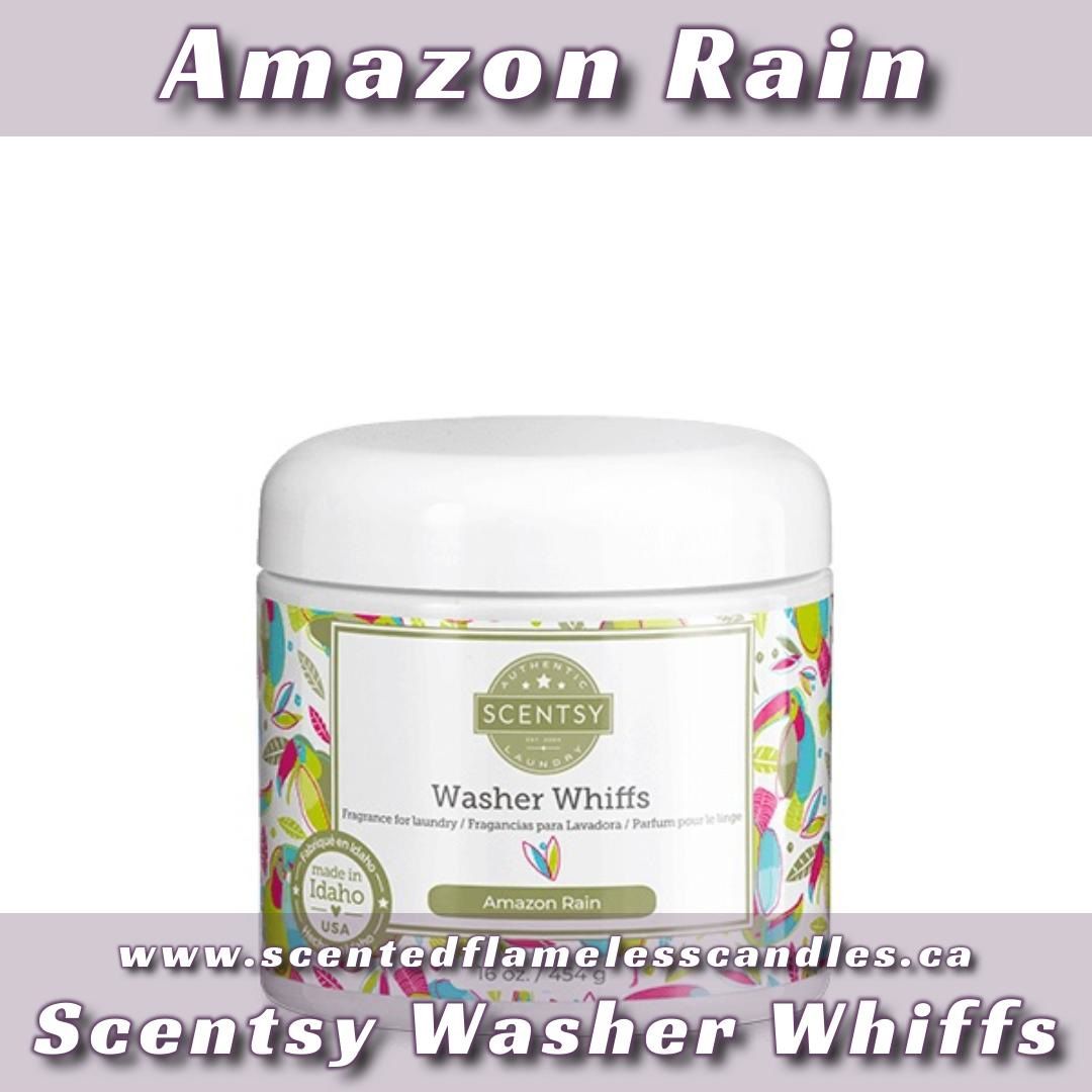 Amazon Rain Scentsy Washer Whiffs