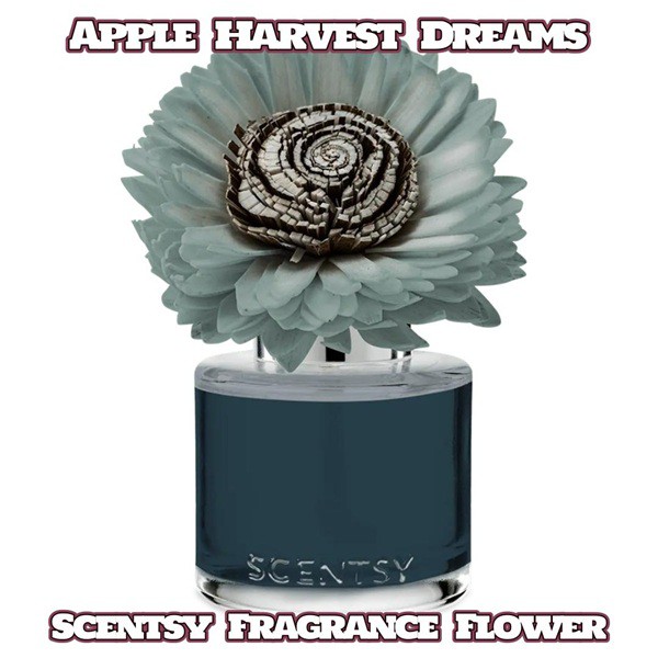 Apple Harvest Dreams Scentsy Fragrance Flower