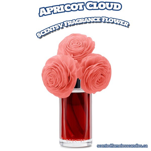 Apricot Cloud Scentsy Fragrance Flower