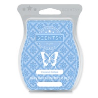 Atlantic Air Scentsy Bar