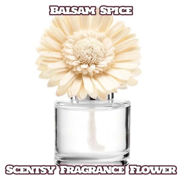 Balsam Spice Scentsy Fragrance Flower