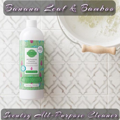 Banana Leaf and Bamboo Scentsy All-Purpose Cleaner
