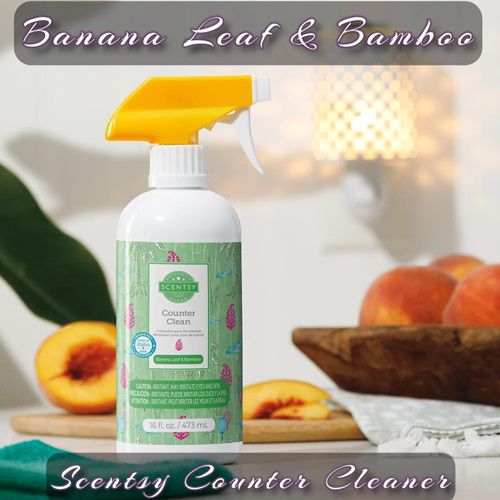 Banana Leaf and Bamboo Scentsy Counter Cleaner Tanya Charette