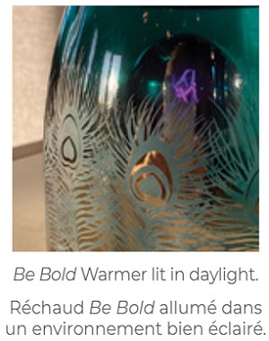 Be Bold Scentsy Warmer - Daylight lit