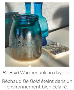 Be Bold Scentsy Warmer - Daylight Unlit