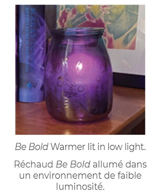 Be Bold Scentsy Warmer - Low Light