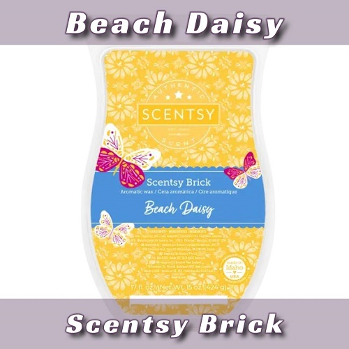 Beach Daisy Scentsy Brick