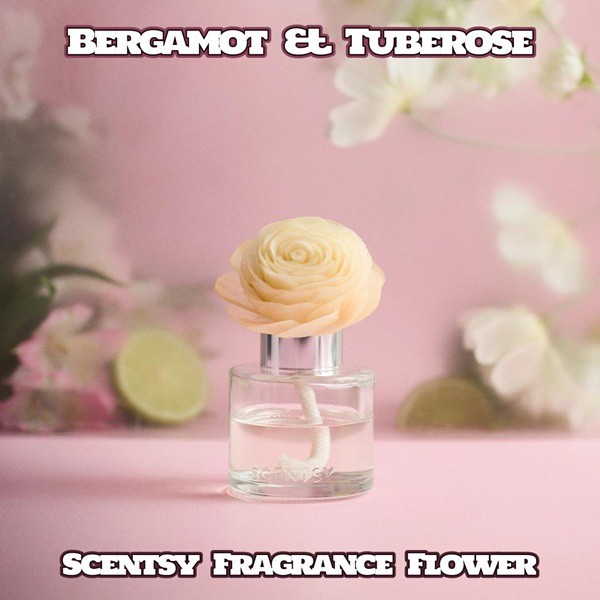 Bergamot & Tuberose Scentsy Fragrance Flower Bergamot & Tuberose Scentsy Fragrance Flower