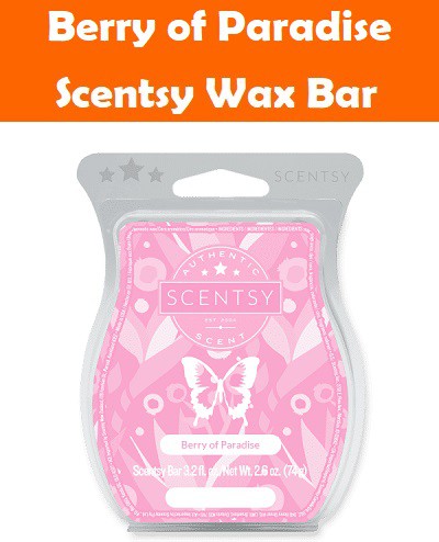 Berry of Paradise Scentsy Bar