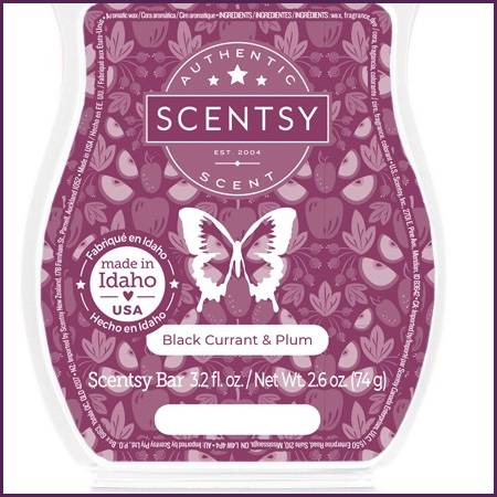 Black Currant and Plum Scentsy Bar Melts
