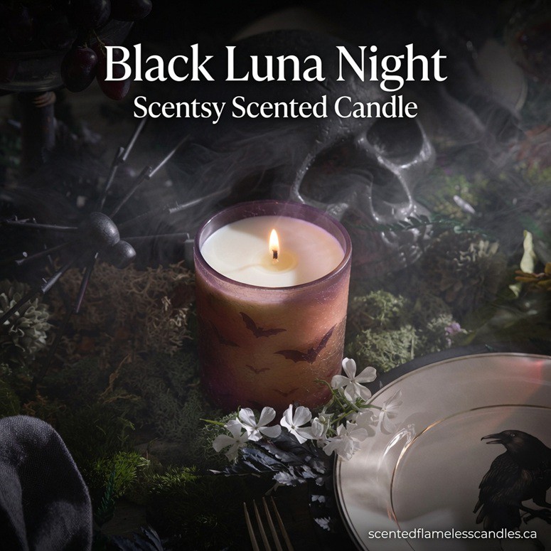 Black Luna Night Scentsy Scented Candle Black Luna Night Scentsy Scented Candle