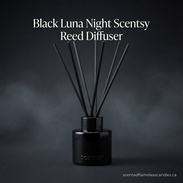 Black Luna Night Scentsy Reed Diffuser Black Luna Night Scentsy Reed Diffuser