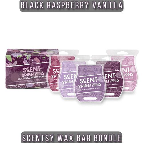 Black Raspberry Vanilla Scentsy Bar Bundle
