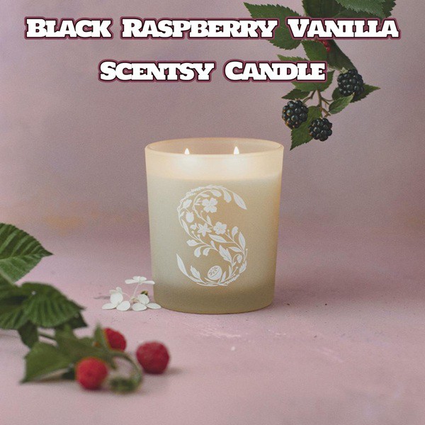 Black Raspberry Vanilla Scentsy Candle