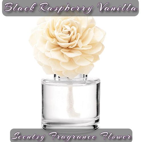 Black Raspberry Vanilla Scentsy Fragrance Flower