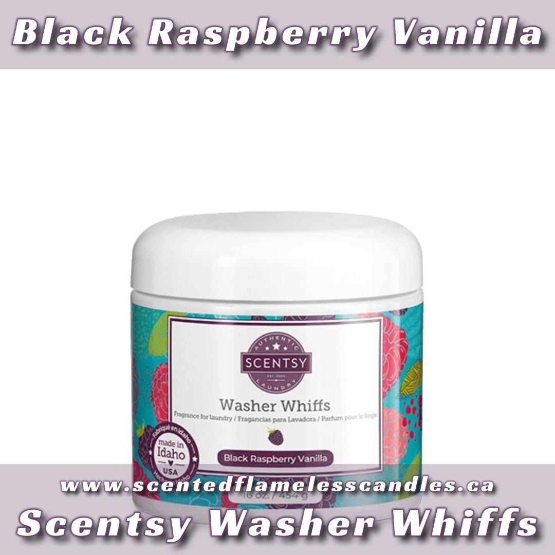 Black Raspberry Vanilla Scentsy Washer Whiffs