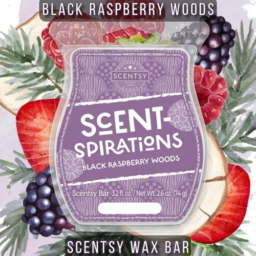 Black Raspberry Woods Scentsy Bar