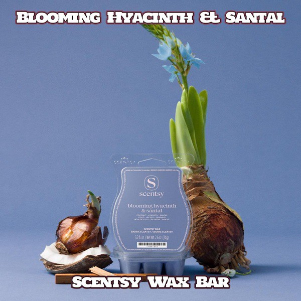 Blooming Hyacinth & Santal Scentsy Bar