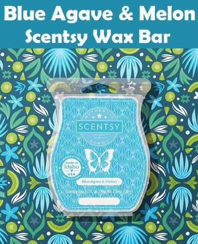 Blue Agave and Melon Scentsy Bar