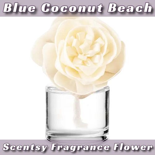 Blue Coconut Beach Scentsy Fragrance Flower