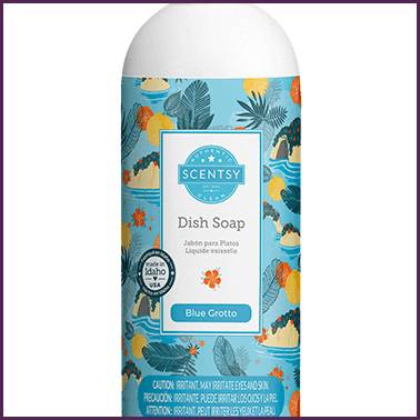 Blue Grotto Scentsy Dish Soap Middle