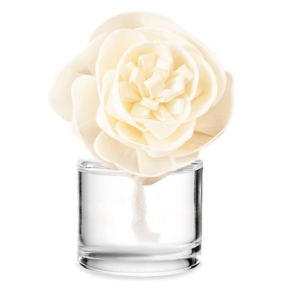 Blue Grotto Scentsy Fragrance Flower Blue Grotto Scentsy Fragrance Flower