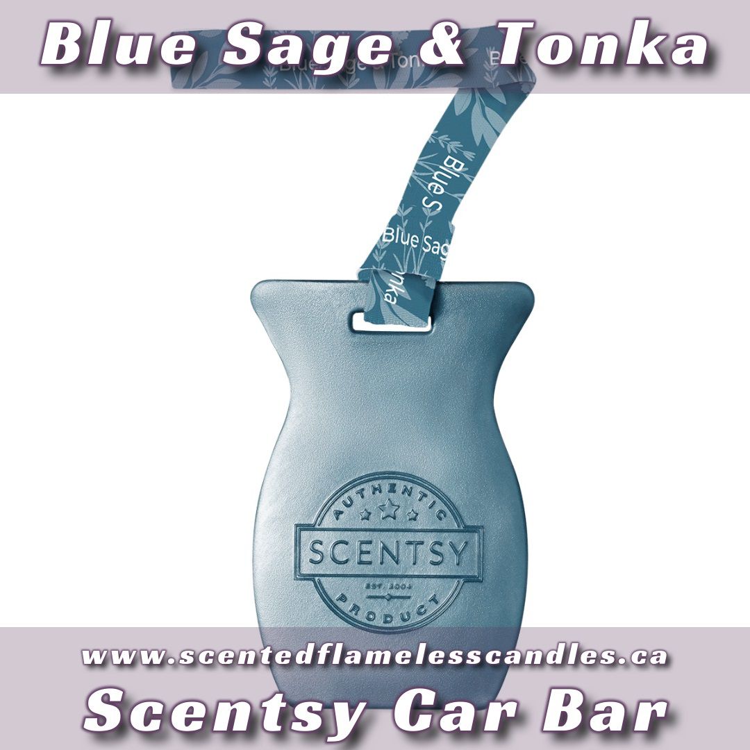 Blue Sage and Tonka Scentsy Car Bar Stock Image