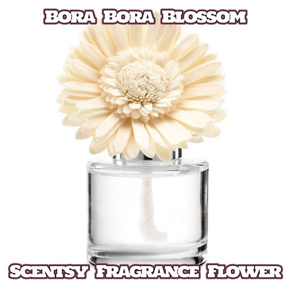 Bora Bora Blossom Scentsy Fragrance Flower