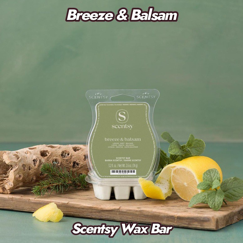 Breeze & Balsam Scentsy Bar