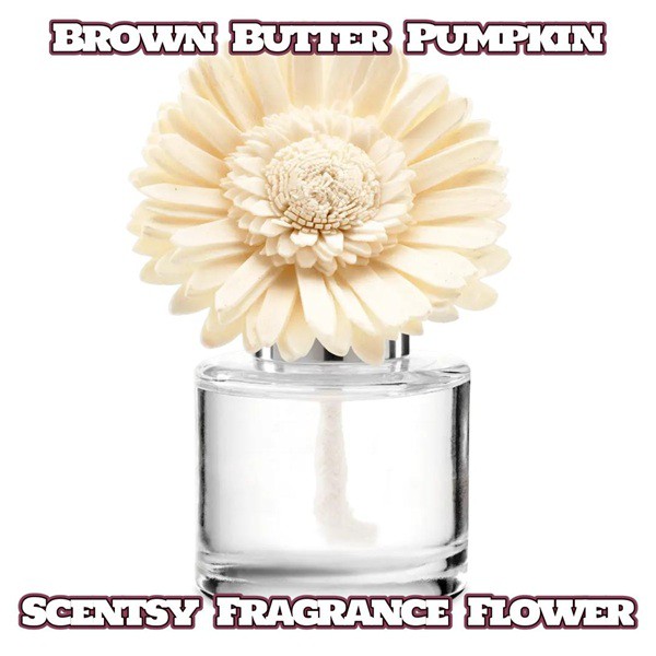 Brown Butter Pumpkin Scentsy Fragrance Flower