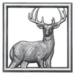 Scentsy Buck Gallery Frame