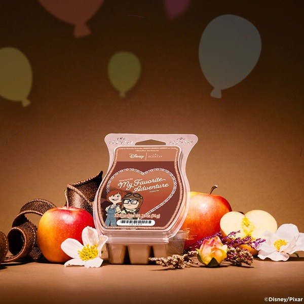 Disney Carl & Ellie: My Favorite Adventure Scentsy Bar