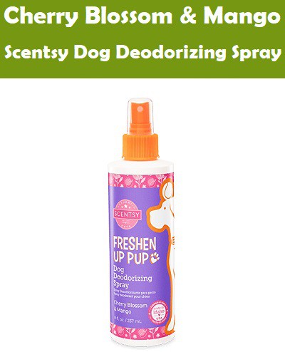 Cherry Blossom and Mango Scentsy Dog Deodorizing Spray