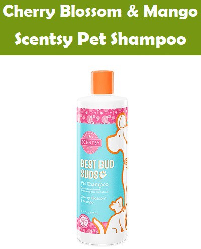 Cherry Blossom and Mango Scentsy Pet Shampoo