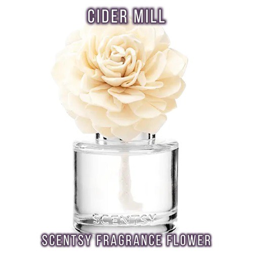 Cider Mill Scentsy Fragrance Flower
